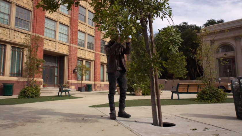 Deke playing with a tree in a park in River's End.