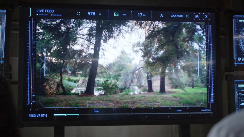 Video of an immense forest on Level 27 of The Lighthouse.