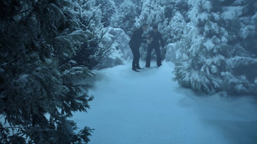 Coulson and Talbot in a snowy pine forest.