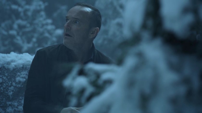 Coulson in a snowy pine forest.