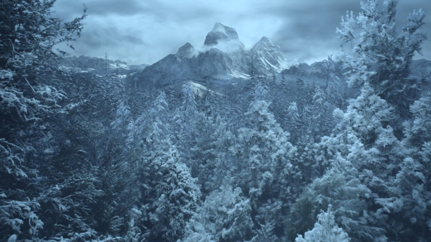 Snowy Pine Forest | MCU Location Scout