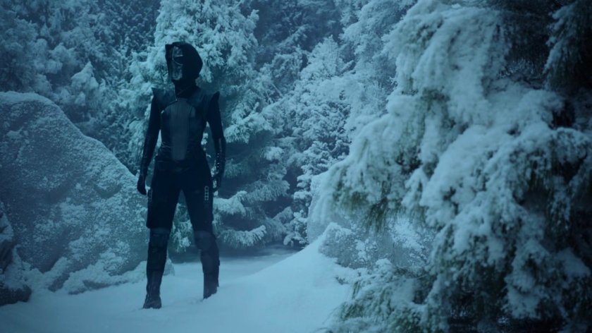 Ruby in a snowy pine forest.