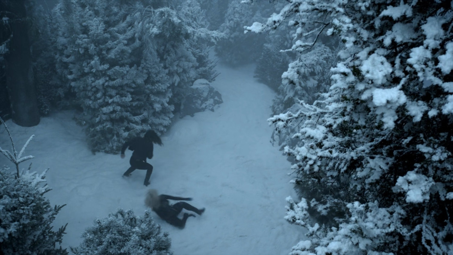 Daisy fighting Ruby in a snowy pine forest.