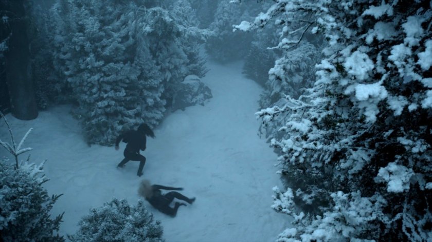 Daisy fighting Ruby in a snowy pine forest.