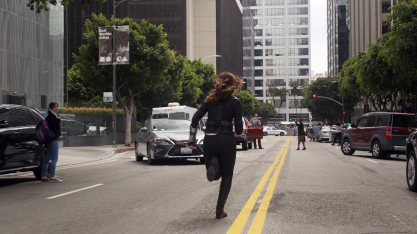 Daisy running along a Chicago street.