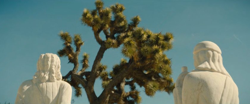 White statuary by a Joshua Tree.
