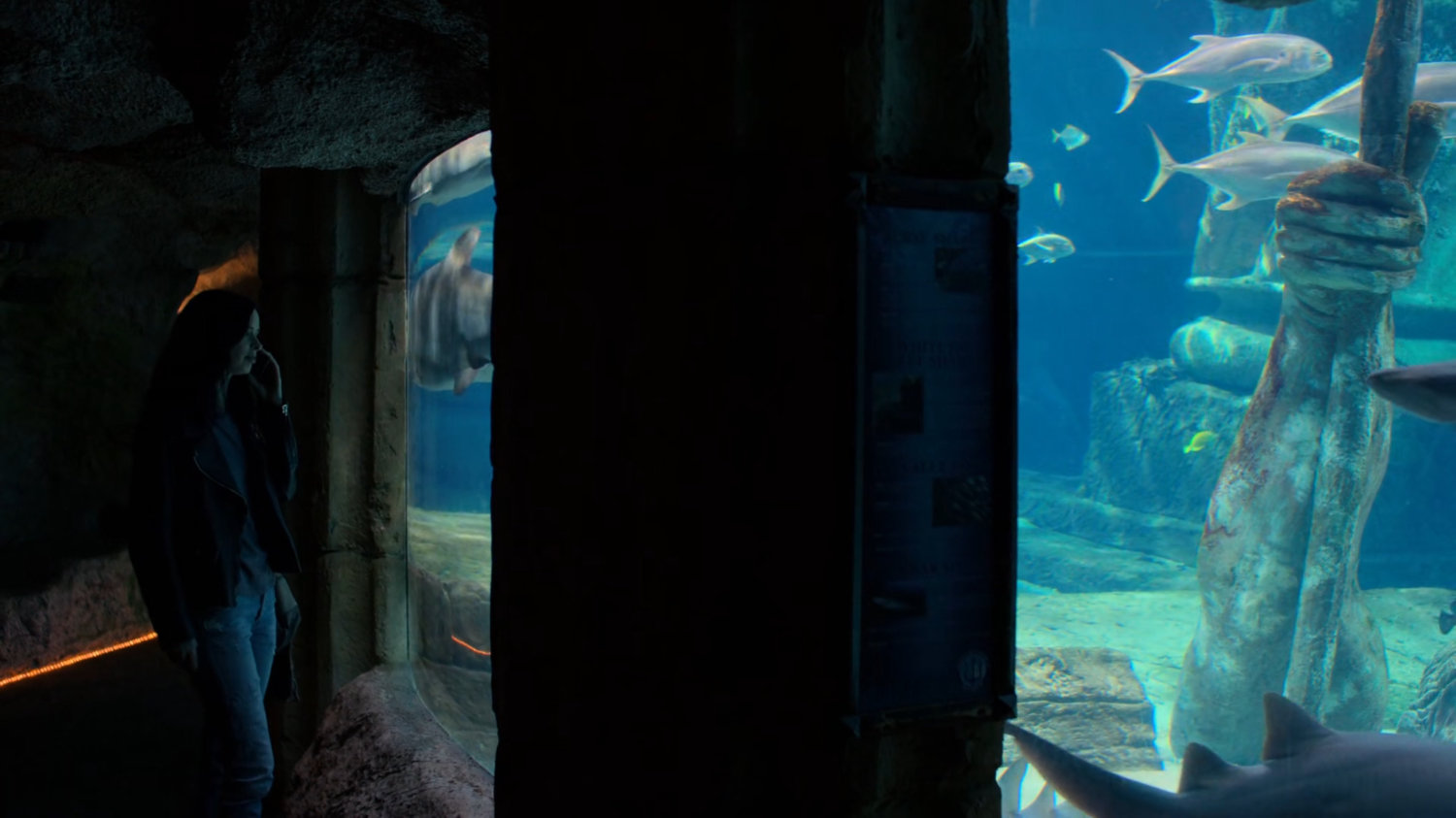 Jessica standing by an aquarium tank.