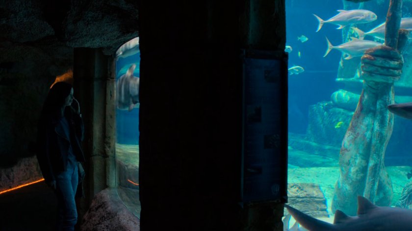 Jessica standing by an aquarium tank.