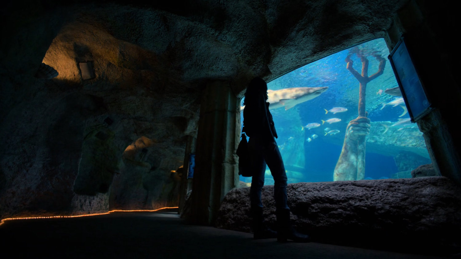 Jessica standing by an aquarium tank.