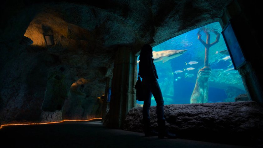 Jessica standing by an aquarium tank.