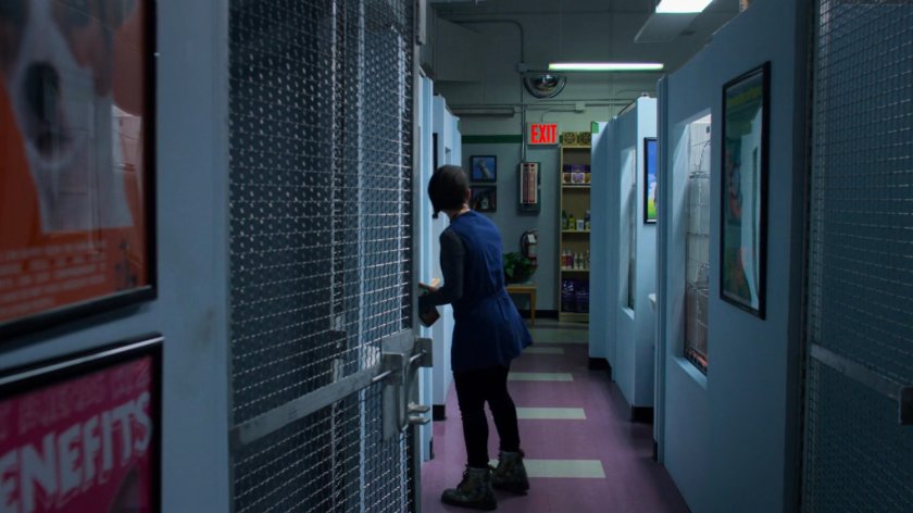 A vet tech inside the Greenleaf Veterinary.