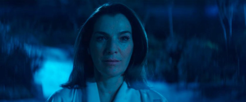 Vanessa in a foggy dreamscape.