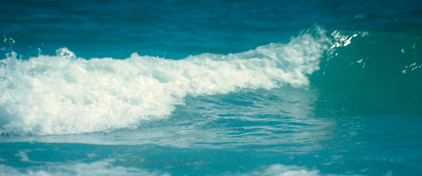 Surf off the island owned by the Fisks.