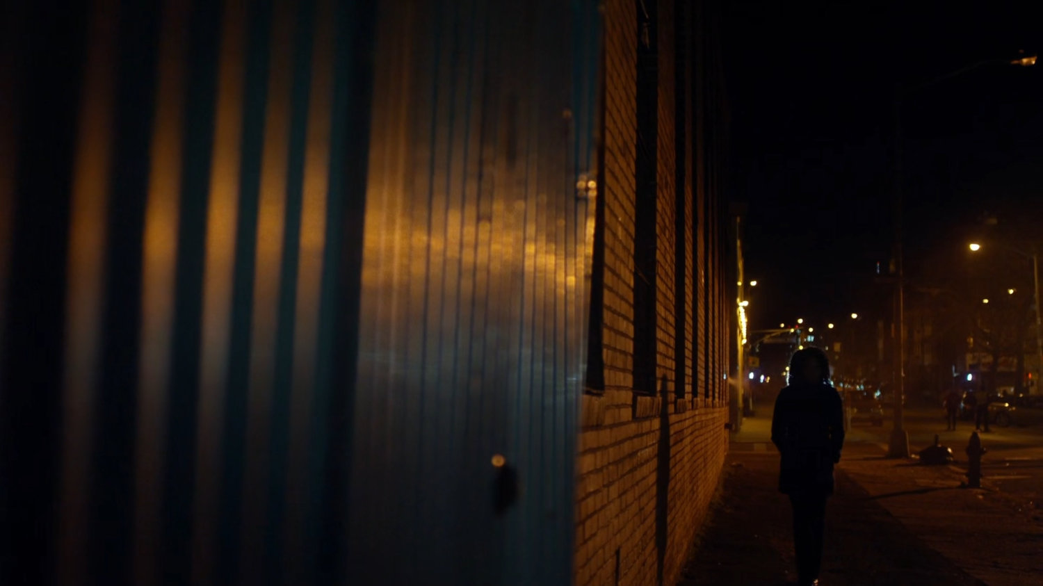 Misty walking along a dark sidewalk.