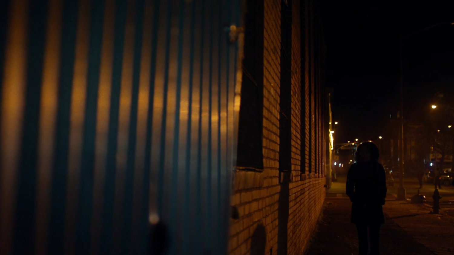 Misty walking along a dark sidewalk.